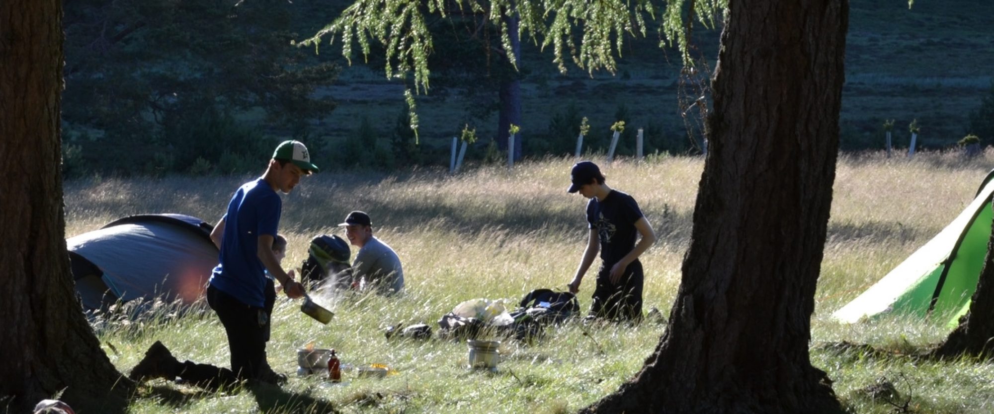 Young people camped among trees, cooking in the evening sunshine